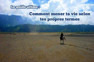pleindetrucs.fr, Damien Fauché