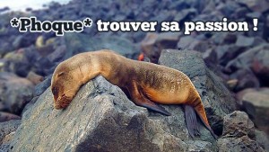 pleindetrucs.fr